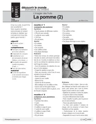 L'imagier des fruits : La pomme (2)