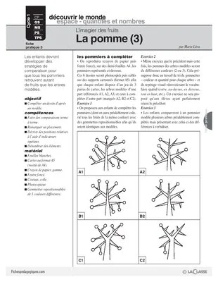 L'imagier des fruits : La pomme (3)