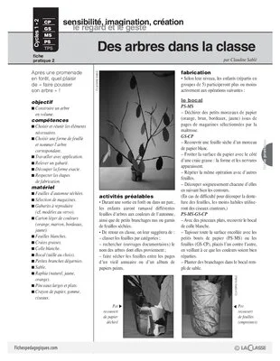 Des arbres dans la classe