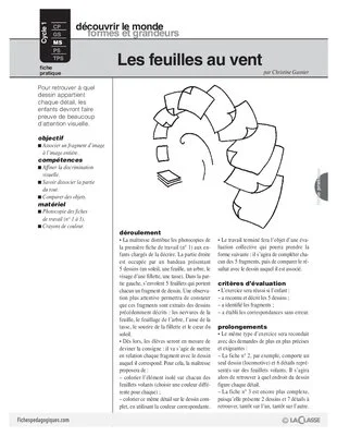 Les feuilles au vent