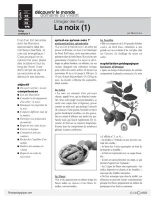 L'imagier des fruits : La noix (1)
