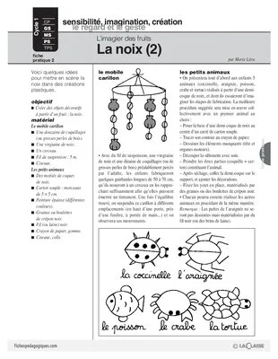 L'imagier des fruits : La noix (2)