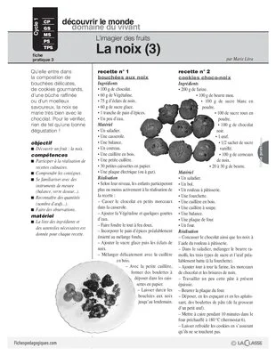 L'imagier des fruits : La noix (3)