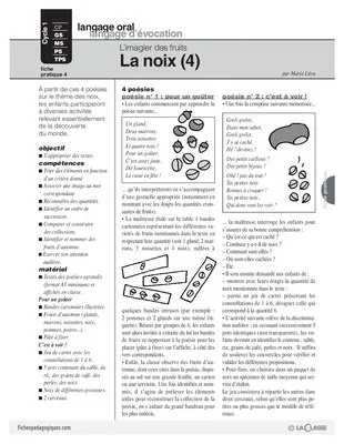 L'imagier des fruits : La noix (4)