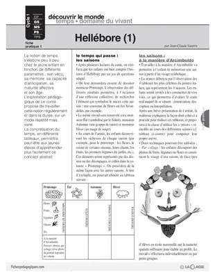 Hellébore (conte) / 2