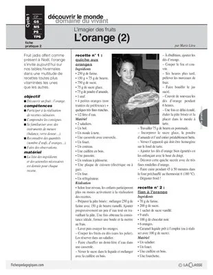 L'imagier des fruits : L'orange (2)