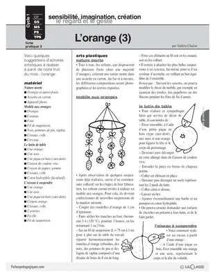 L'imagier des fruits : L'orange (3)