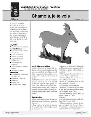 Chamois (1)