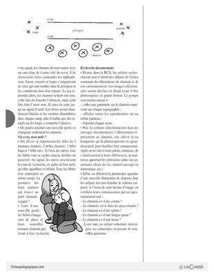 Chamois (1)