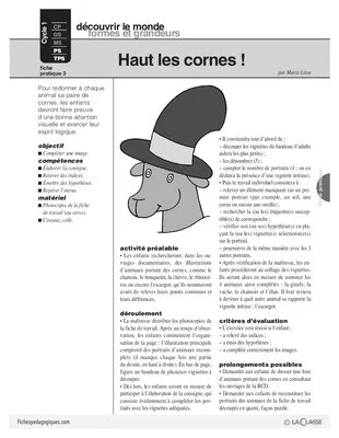 Chamois (3)