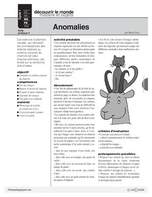 Chamois (4)