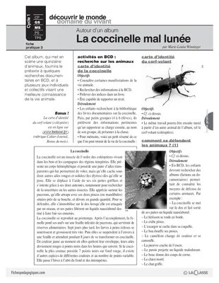 La coccinelle mal lunée (4) / Album