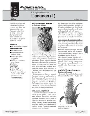 L'imagier des fruits : L'ananas (1)