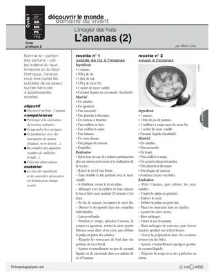 L'imagier des fruits : L'ananas (2)