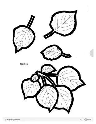 Découp'images: fruits et animaux de la ferme