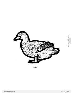 Découp'images: fruits et animaux de la ferme