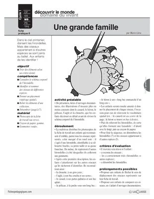 L'hirondelle (6)