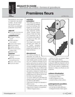 Premières fleurs