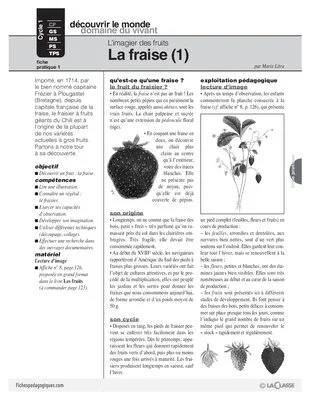 L'imagier des fruits : La fraise (1)