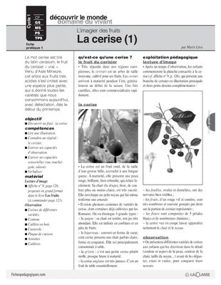 L'imagier des fruits : La cerise (1)