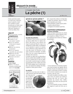 L'imagier des fruits : La pêche (1)