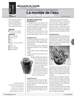 Sciences et techno (10) / Montée de l'eau dans les plantes