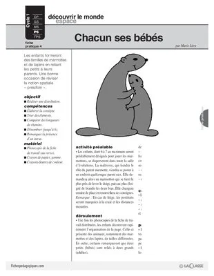 La marmotte  (4)