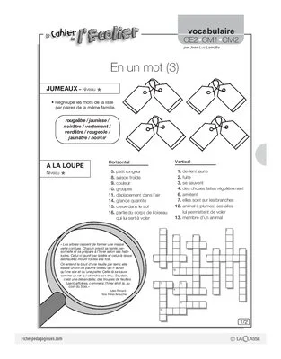 Vocabulaire / En un mot (3)
