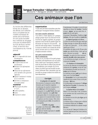 Ces animaux que l'on confond parfois
