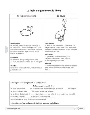 Ces animaux que l'on confond parfois