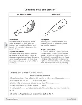 Ces animaux que l'on confond parfois