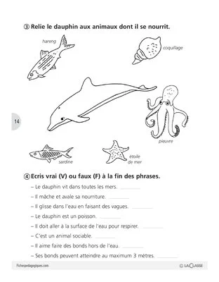Sauvons les animaux (1) / Vif le dauphin