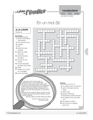 Vocabulaire / En un mot (9)