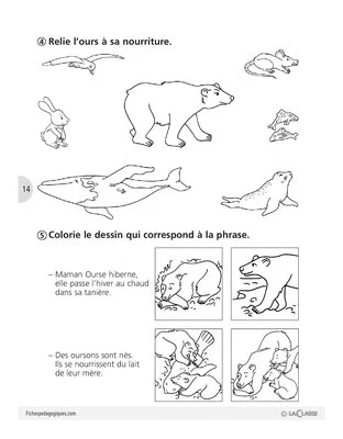 Sauvons les animaux (2) / Les ours blancs