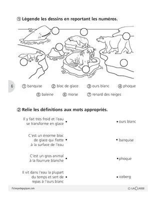Sauvons les animaux (2) / Les ours blancs