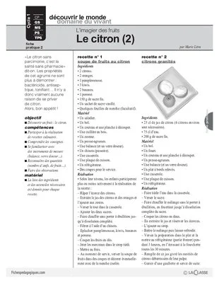Le citron (2)