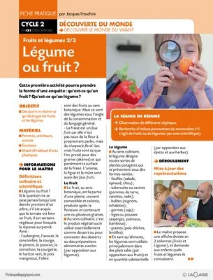 Fruits et légumes (2) / Légume ou fruit ?