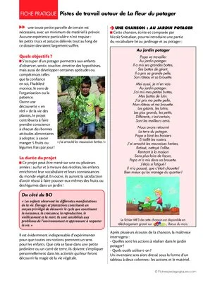 La fleur du potager (1) / Pistes de travail