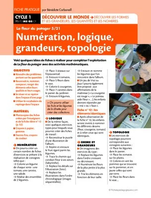 La fleur du potager (5) / Numération, logique, grandeurs...