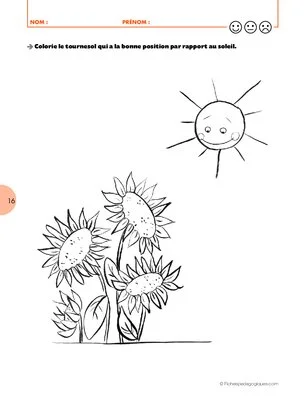 La fleur du potager (7) / Des fleurs dans le potager?