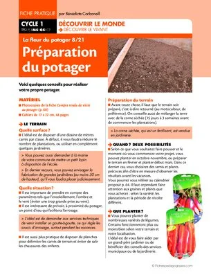 La fleur du potager (8) / Préparation du potager