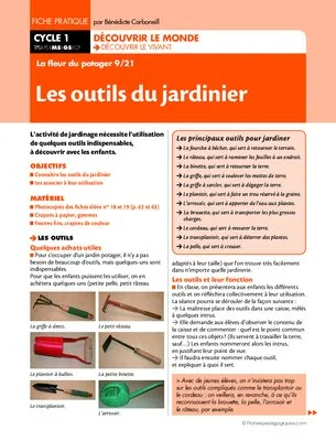 La fleur du potager (9) / Les outils du jardinier