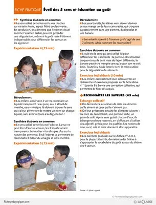 Pack thématique - Education au goût et recettes au Cycle 2