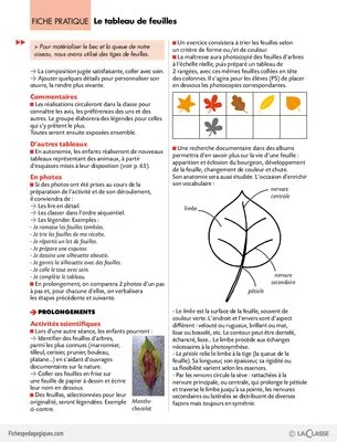 Pas à pas (3) / Le tableau de feuilles