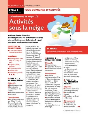Activités sous la neige