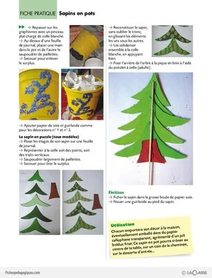 Sapins en pots