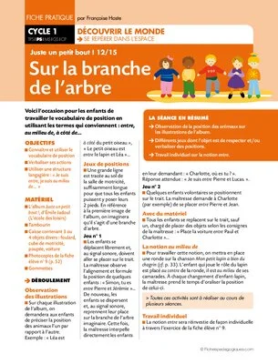 Juste un petit bout (12) / Sur la branche de l'arbre