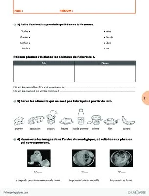 Pack thématique - Les sorties scolaires au Cycle 2