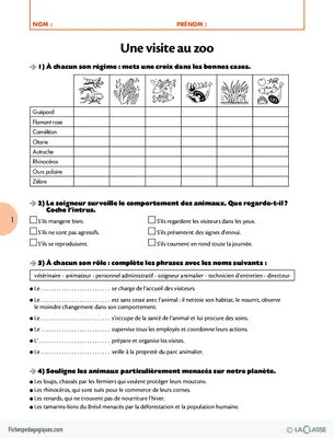 Pack thématique - Les sorties scolaires au Cycle 2