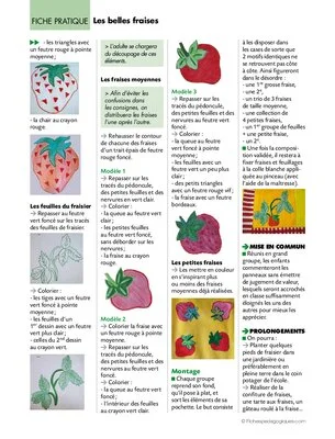 Les belles fraises